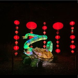 Meet your Posher, Brenda